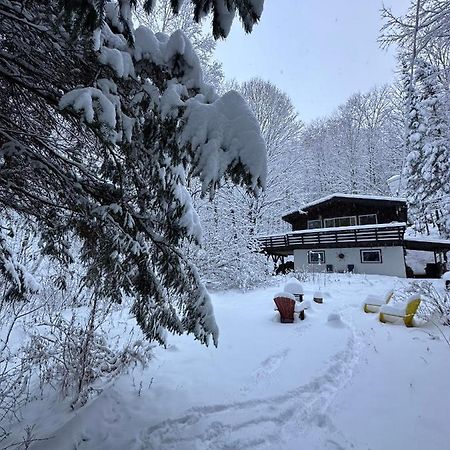 Chalet Dans Les Arbres. 3 Ch. /Trees House 3Bdr Lac Sainte-Marie Exteriör bild