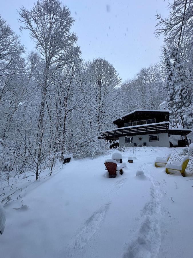 Chalet Dans Les Arbres. 3 Ch. /Trees House 3Bdr Lac Sainte-Marie Exteriör bild