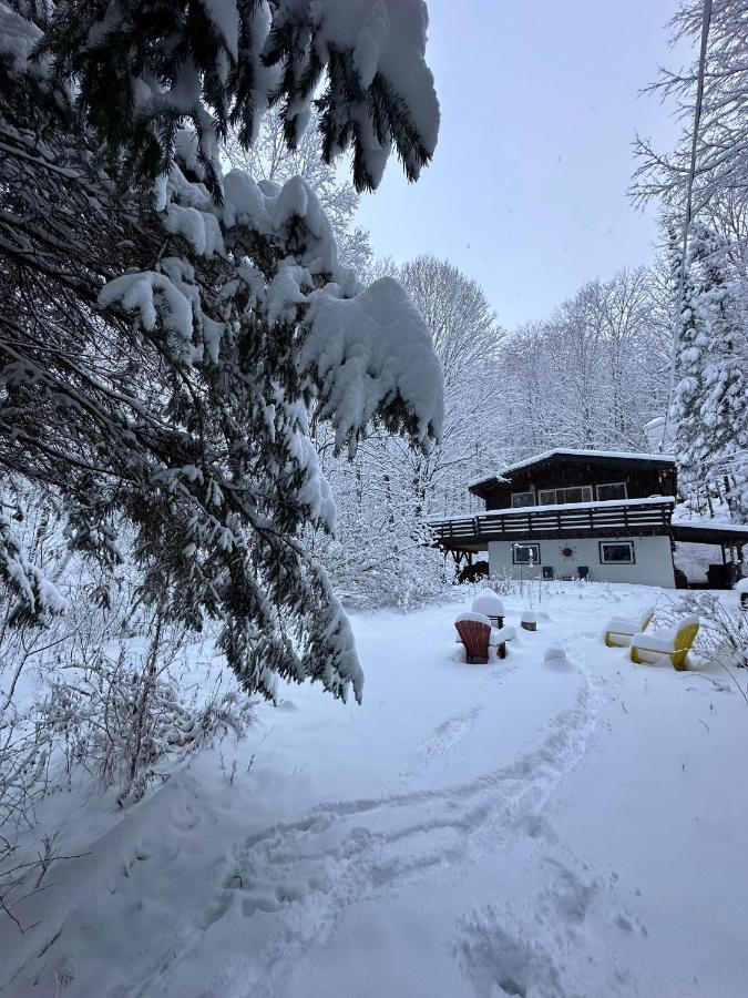 Chalet Dans Les Arbres. 3 Ch. /Trees House 3Bdr Lac Sainte-Marie Exteriör bild